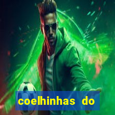 coelhinhas do brasil acompanhantes